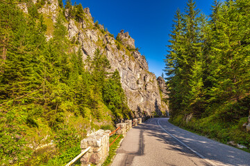 Fototapeta na wymiar Road through mountainous landscape with rocky gorge on a sunny morning. Vratna valley in Mala Fatra national park, Slovakia, Europe.