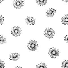 seamless pattern with black and white flowers daisy. vector illustration. design for greeting cards and invitations of wedding, birthday, Valentine s Day, mother s day and other seasonal holiday