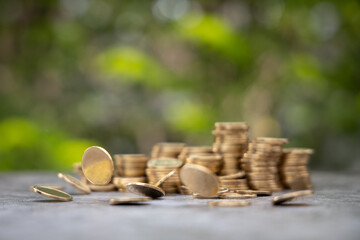 Money Financial Business Growth concept. gold coins drop with nature background.selective focus