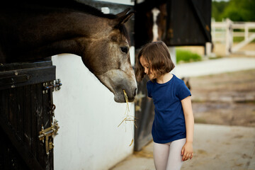Little girl feeds a beautiful horse in the barn