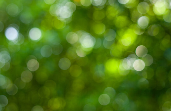abstract circular green bokeh background, green nature spring and nature light in blurred style, copy space