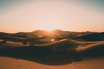 Fototapeta na wymiar Empty Sahara Desert Dunes in Beautiful Morning Sunrise Light with No People