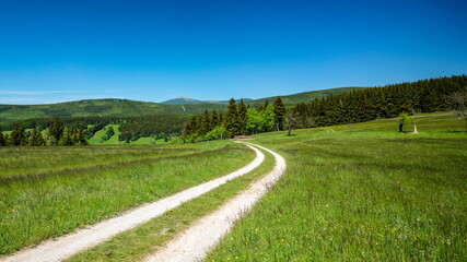 Naklejka premium Curve on unpaved route on a mountain meadow leading towards a forest in a colorful hilly landscape, Krkonose mountains, Czech Republic, Poland