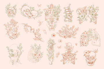 Set of Vintage Floral Anatomy elements in one line. Human skeleton and inner organs with flowers and leaves. Editable vector illustration.