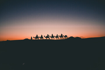 Beautiful Silhouette of Camels on Travel Tour through Sahara Desert Sunset 