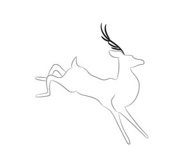vector illustration deer drawing lines,