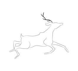 vector illustration deer drawing lines,