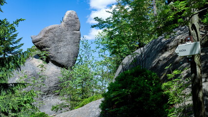 Cat shaped rock, nature tourism destination - Adrspach rock city, Czech Republic, Europe. SIGN TRANSLATION: cat