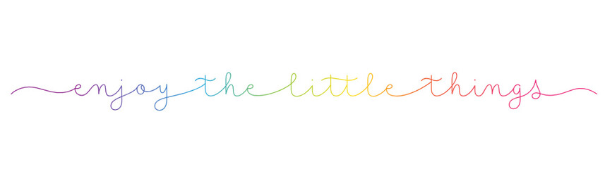 Fototapeta na wymiar ENJOY THE LITTLE THINGS rainbow vector monoline calligraphy banner with swashes
