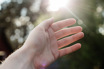 hands in the sky