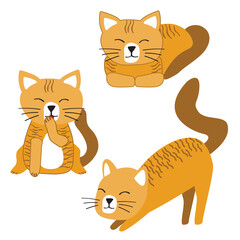 Cat or kitten character design set. Cute cartoon cats illustration.