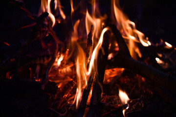 fire, flame, fire at night, night flame, fire, picnic, barbecue, cooking on fire, hot branches,...