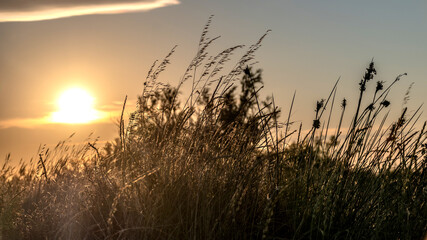 Lever  coucher de soleil sur les marais salants de Camargue - Sunrise over the Camargue salt marshes