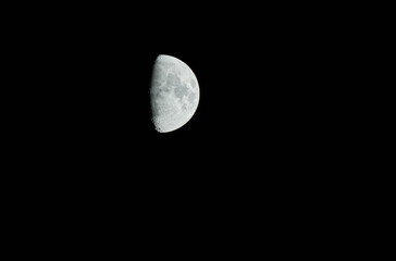 Shining half moon close up view, rising in a dark sky.