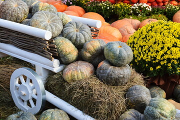 Pumpkin decorations at a harvest festival 