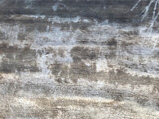background texture of dry sawed wood trunk without bark