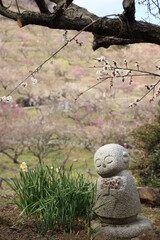 梅地蔵