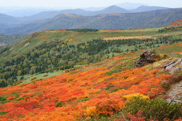 Beautifully colored autumn leaves and mountain range overlooking Mitsuishiyama