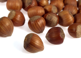 NOISETTE
