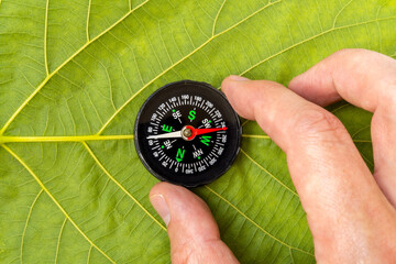 Man discovering nature with compass on the leaf background