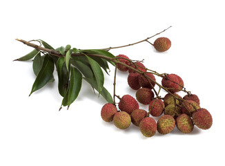LITCHI