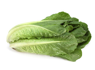 ROMAINE