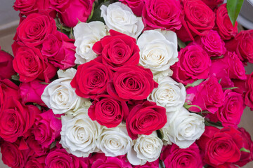 Multi-colored bouquet of red, pink and white roses