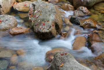 Creek along Kancamagus Highway, New Hampshire, USA