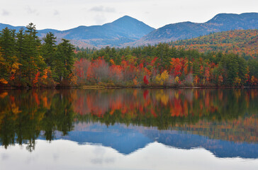 Beautiful fall foliage at White Mountain, New Hampshire. 