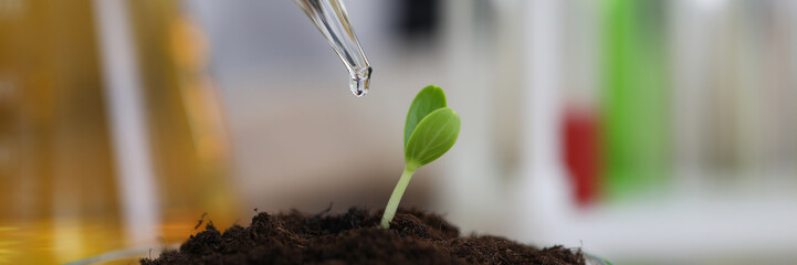 Close-up of sprout sample fertilizing with serum. Researcher experimenting with sprig. Botanical...