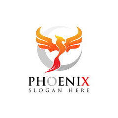 phoenix bird logo design template vector illustration