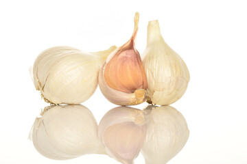 garlic isolated on white