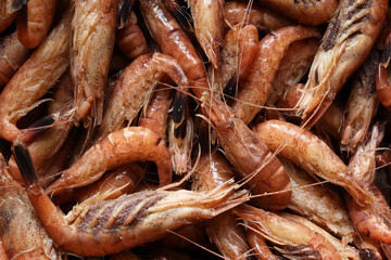 Photography of cooked shrimps for food background