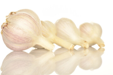 garlic isolated on white