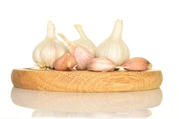 garlic isolated on white