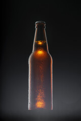 Beer bottle on dark background, copy space