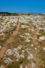 Misrah ghar il-kbir cart tracks in Malta