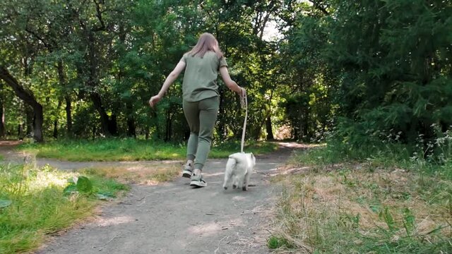 Little puppy terrier walking outside in green foliage with a young girl. SlowMo