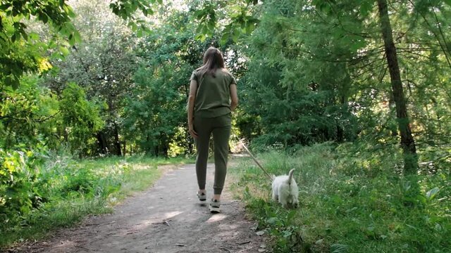 Little puppy terrier walking outside in green foliage with a young girl. SlowMo