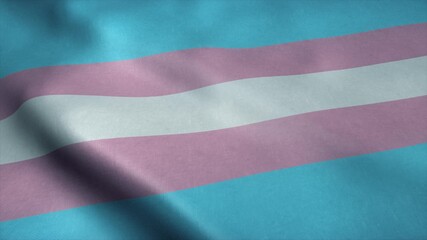 Transgender pride community flag, LGBT symbol. Sexual minorities identity. 3d rendering