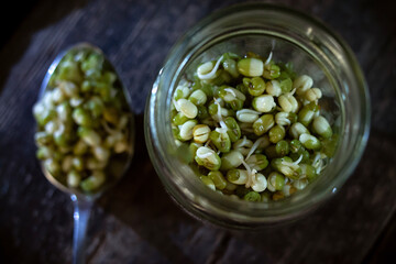 mung bean, seedlings