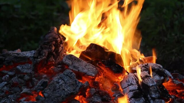 fire burns at the stake made of coals, close up