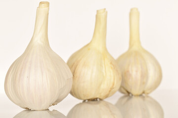 garlic isolated on white background