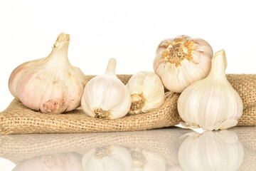 garlic isolated on white background