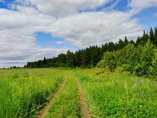 a road between a green field and a forest against a blue sky with clouds in a beautiful landscape