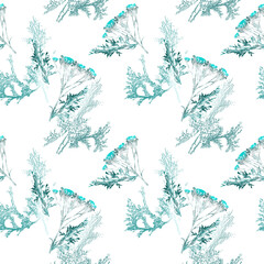 Fototapeta premium Field and curry plant, seamless pattern.