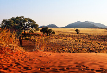 Morgenstimmung im Namib Naukluft Nationalpark, Namibia