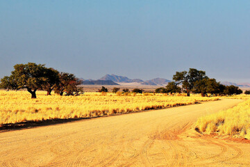 Morgenstimmung im Namib Naukluft Nationalpark, Namibia