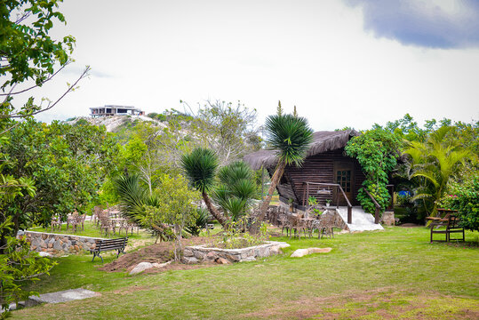house in the forest, tourism in brazil, brazilian landscape, northeast brazil, tapera