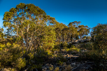 Hiking paths in the Grampians National Park in Victoria, Australia.